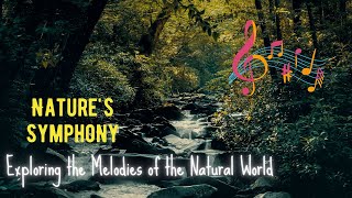Nature's Symphony: Exploring the Melodies of the Natural World