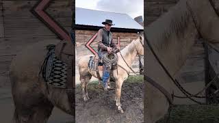 Tim’s handy rope strap!#jagchicshines#roping#horses#ranching#mcnameecoltco