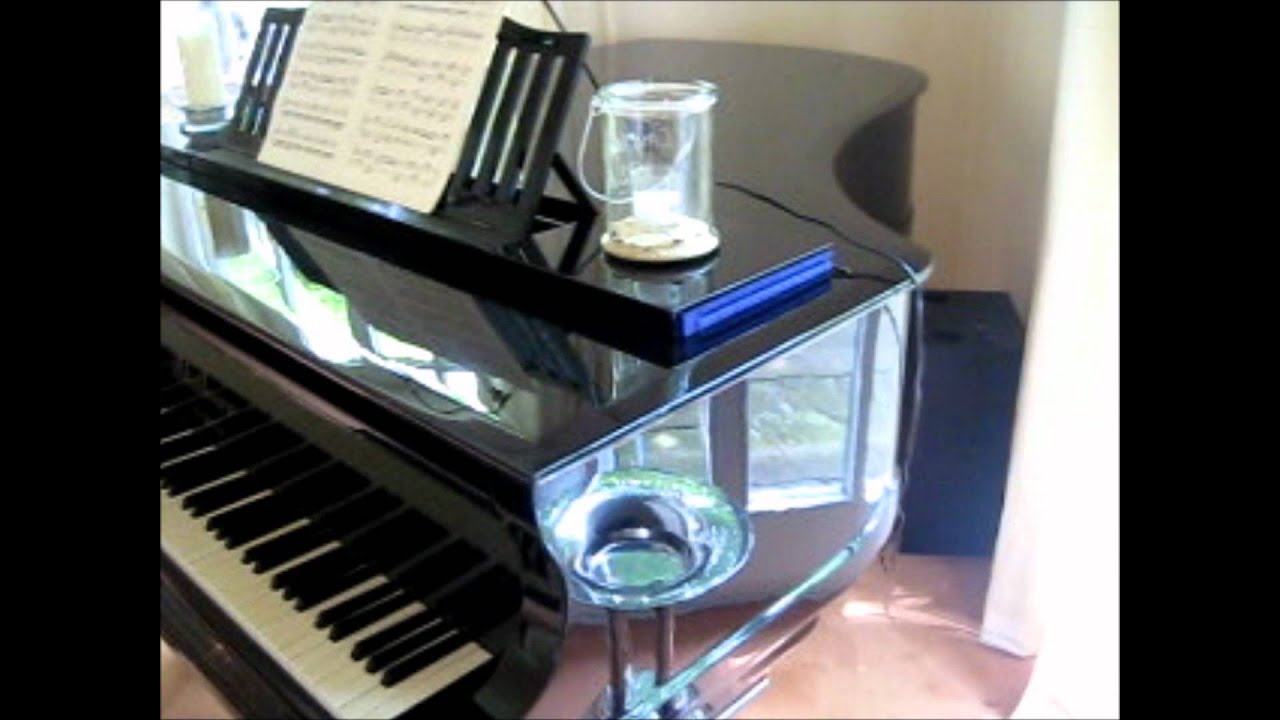 Jubiläums Blüthner mit Schutzmarke