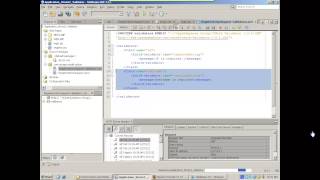 Validate in Struts 2 use XML File