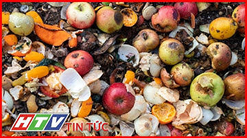 THẾ GIỚI LÃNG PHÍ 923 TRIỆU TẤN THỰC PHẨM MỖI NĂM | HTV TIN TỨC