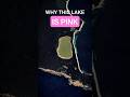 Why Is This Australian Lake Bubblegum Pink? #shorts
