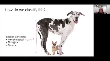 BI222 Lecture 1 Taxonomy and Phylogeny