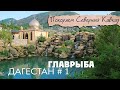 Главрыба - популярный парк в Дагестане | Безопасно ли в Дагестане? На машине по Северному Кавказу