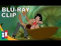 Which Way To Ferngully?