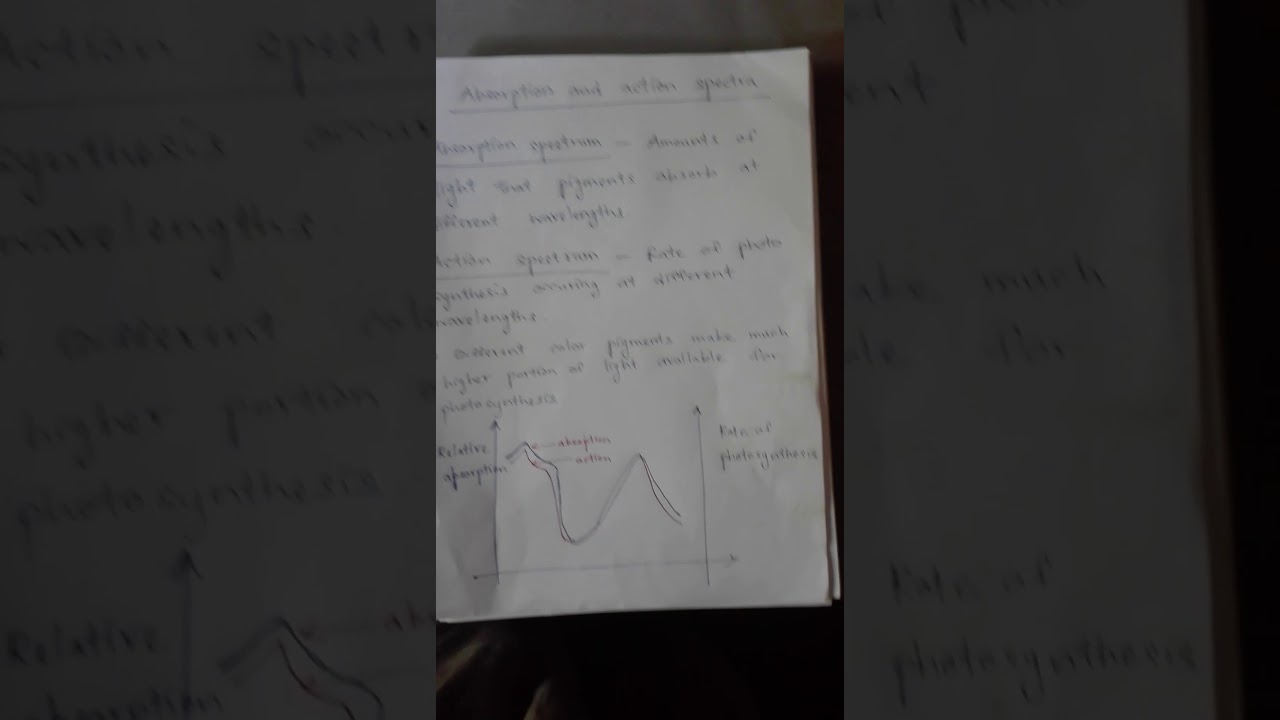Absorption and action spectra