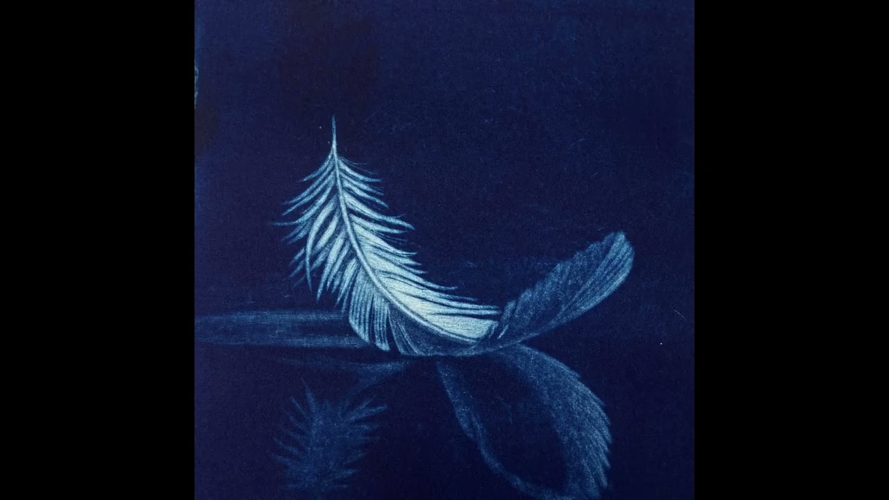 [FREE] Lana Del Rey X Pinegrove Type Beat - "Funeral"