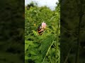 natural beauty,natural beauty tips,natural beauty live,care natural beauty,natural beauty