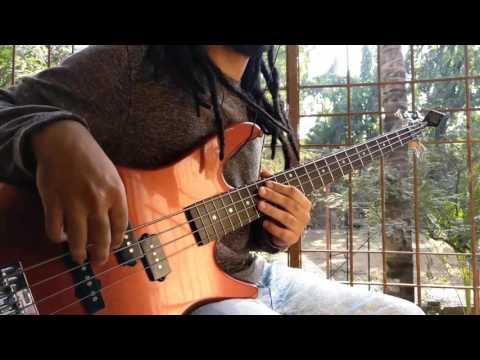 put-a-flower-in-your-pocket---the-arcs-(bass-cover)