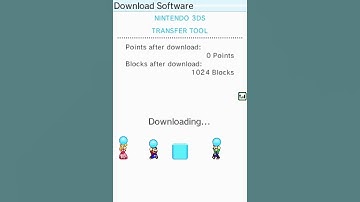 Nintendo DSi Shop - Download Animation