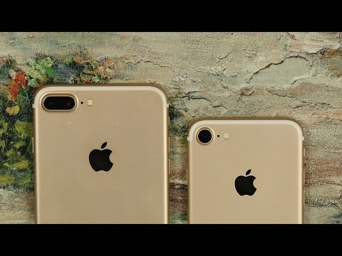 iPhone 8 Plus vs 7 Plus Camera Test Comparison. 