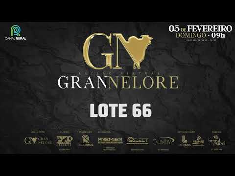 LOTE 66