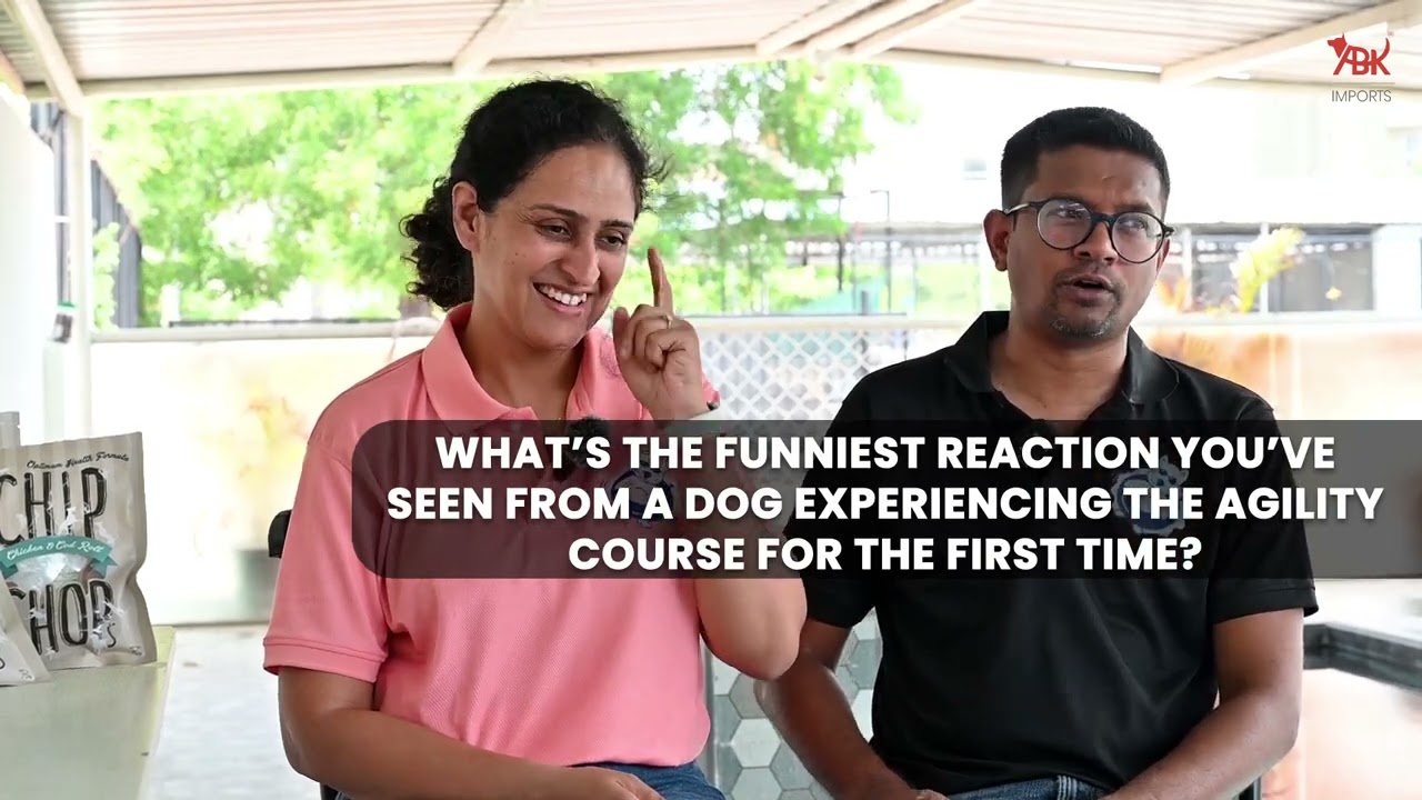 From Paw-sitive Dreams to Pet Paradise: The Doggotel Success Story