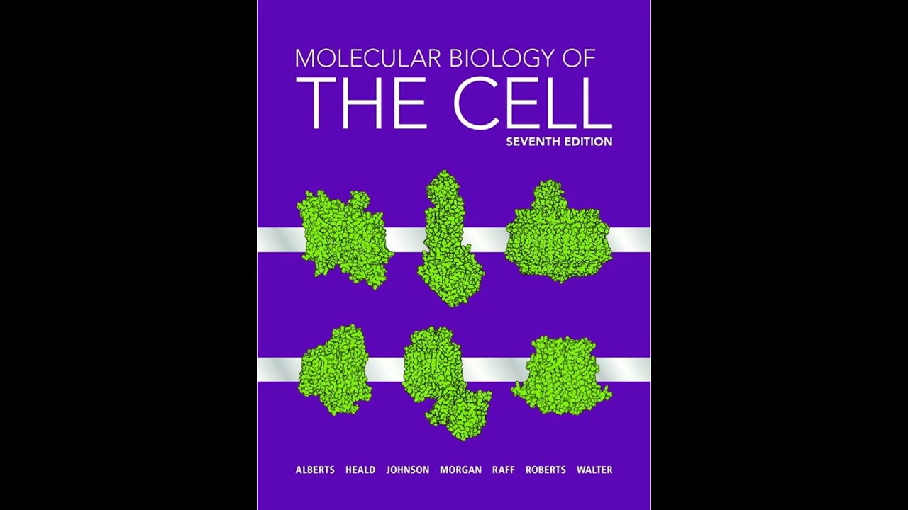 Molecular Biology of the Cell 第7版 Molecular Biology of the Cell Seventh Edition 7th Edition