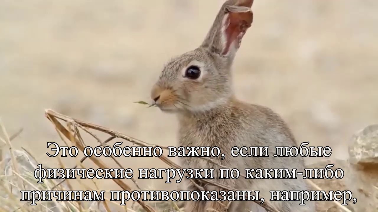 Массаж или йога – что эффективнее — Статья