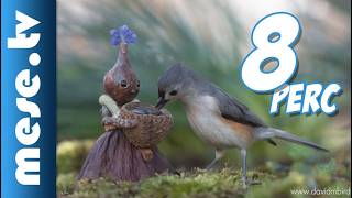 Becorns - Összefűzve I Mese.tv Mese, Rajzfilm Gyerekeknek