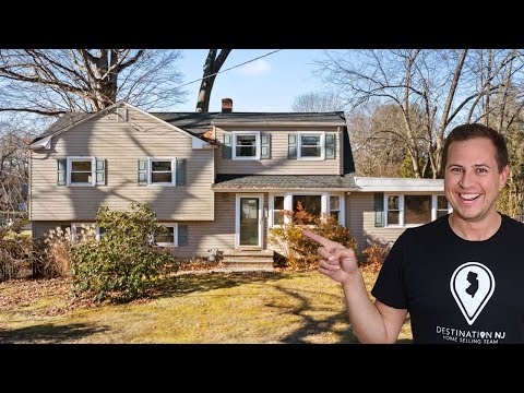 142 Taylor Avenue, Hillsborough, NJ home video tour