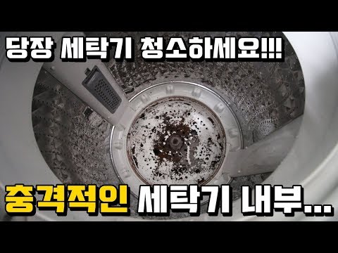 1년만에 통돌이 세탁기를 청소 했는데... 충격적인 세탁기 내부!