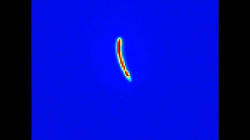 Ten-micron-long single-walled carbon nanotube, recorded using ANF