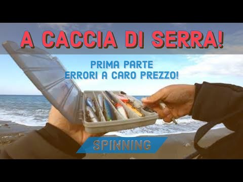 A CACCIA DI SERRA PRIMA PARTE - si inizia male con tanti errori! BLUEFISH SPINNING INSHORE