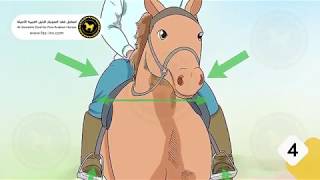 كيف توجه حصانك بواسطة ساقيك فقط