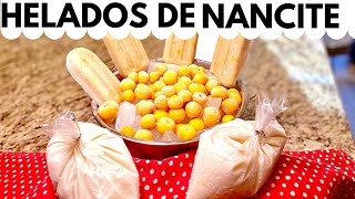 Como hacer Helados De Nancite usando leche de coco