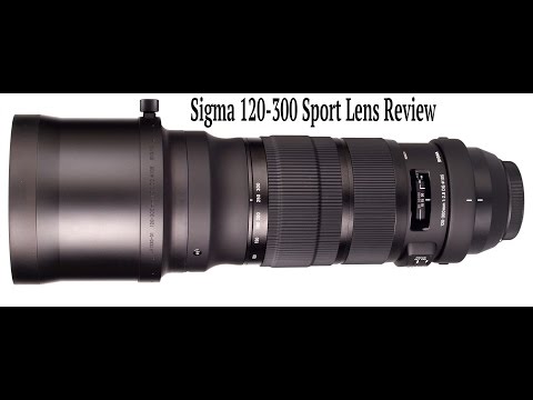 Sigma 120-300 DG OS Sport Lens Review