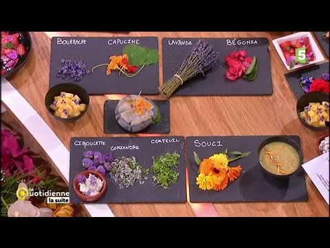 Vidéo: Quelles Fleurs Peuvent être Utilisées En Cuisine