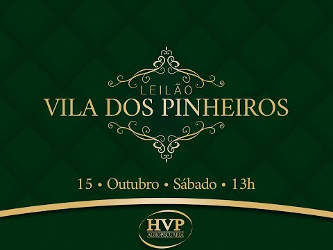 Lote 83   M6290 FIV HVP   HVP 6290 Copy