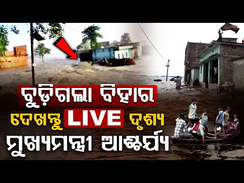 ବିହାରରେ ଭୟଙ୍କର ବନ୍ୟା ! ଭାଙ୍ଗିଲା ନଦୀବନ୍ଧ, ପାଣିରେ ବୁଡ଼ିଲା ଗାଁ | Bihar Flood LIVE | Argus Digital
