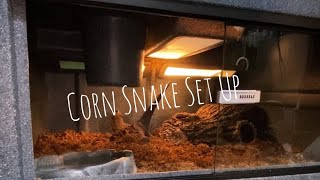 🐍 Setting Up My Corn Snake Enclosure 🧪