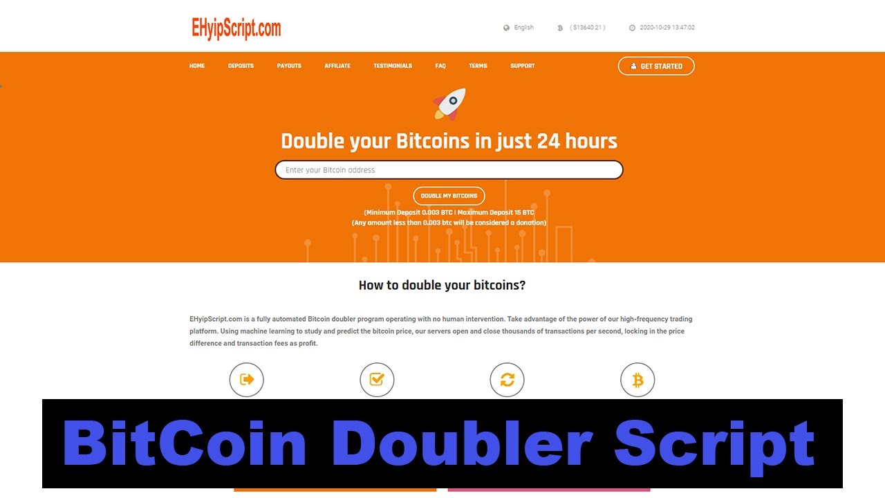 Hyip script developer launch your own bitcoin investment wbsite