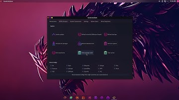 Garuda Asistant - Clear Package Cache