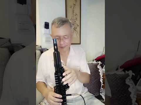 負心的人 C調 山葉電吹管120倣次中 高sax