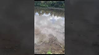  Mau Ditanami Padi Airnya Meluap Nunggu Surut Dulutiniartir5716