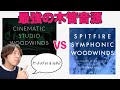 【DTM】Cinematic Studio WoodwindsとSpitfire Symphonic Woodwinds木管音源比較！どっちがおすすめ？