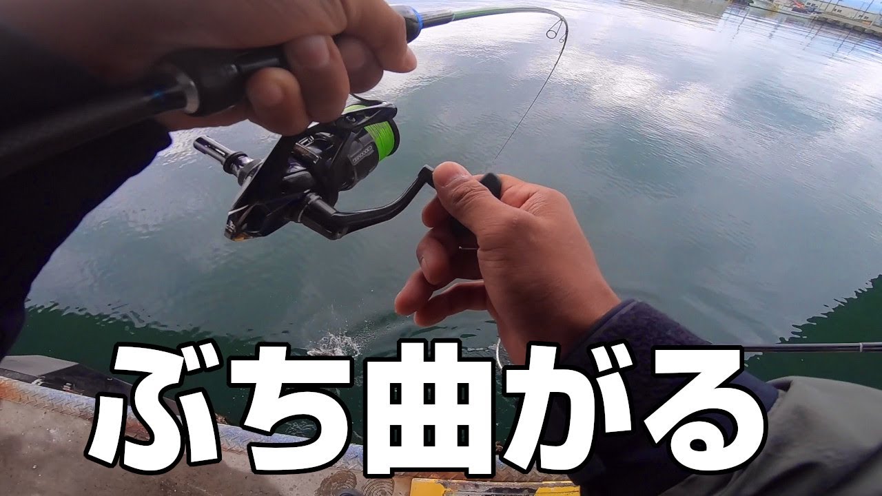 ロックフィッシュ大会優勝者と敗北者