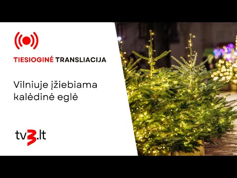 Tiesiogiai: Vilniuje įžiebiama kalėdinė eglė @tv3televizija