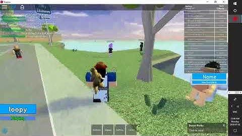 ROBLOX Hilton Hotels report for proof | Another exploiter......