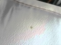 クリーニング　振袖長襦袢　しみ抜き1　宮津市　ｂｙ両丹ドライ