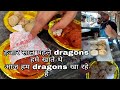 Oye burger khaya kya  street food series sirsa  indian street food  ep17