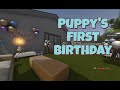 House Flipper - Puppy's First Birthday