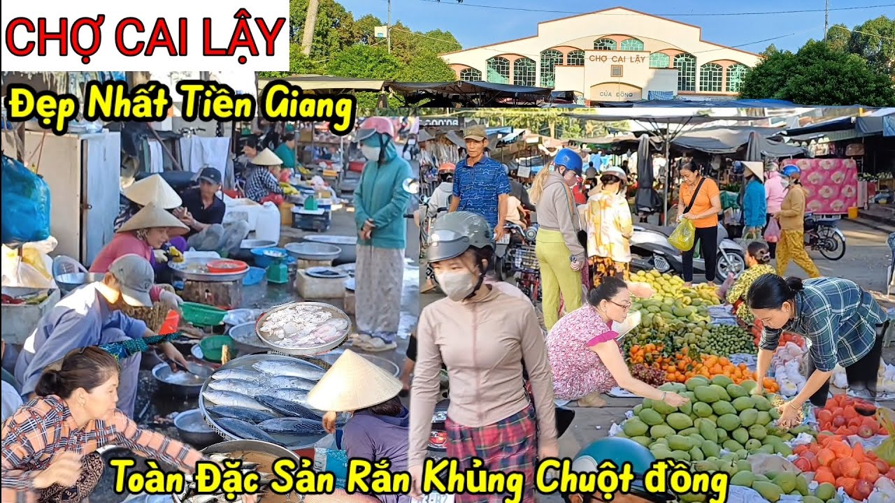Khủng khiếp Rắn Khủng, Chuột đồng và nhiều Đặc Sản khác CHỢ CAI LẬY, Tiền Giang ,ngập tràn trái cây
