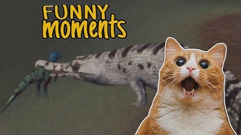 I GRABBED REAL PLAYERS !_The cursed dinosaur isle_- Sarco funny moments 