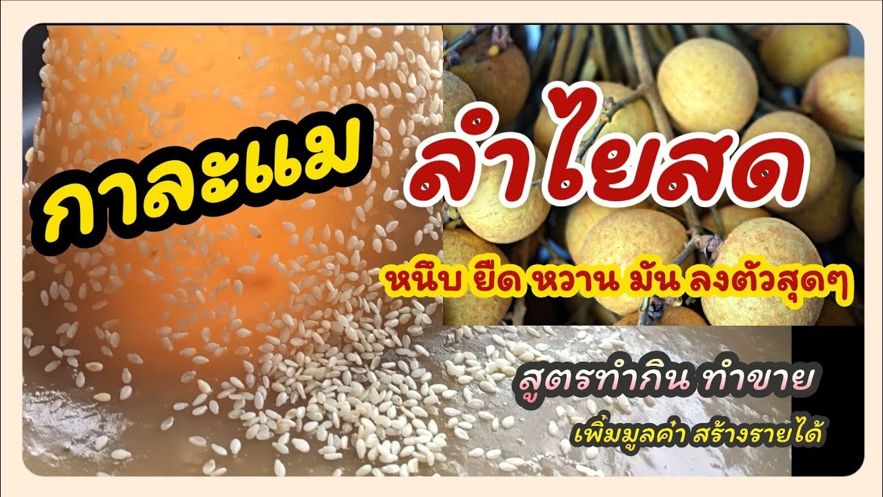 วิธีทำ กาละแม..ลำไยสด.. เพิ่มมูลค่า สร้างรายได้ ..สูตรทำกิน ทำขาย lครัวติดดินทำกินง่ายๆ EP:50