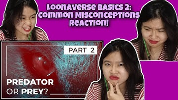 Loonaverse Basics 2: Common Misconceptions First Time Reaction! By Loominosity