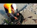 MIRA COMO SE PESCA CAMARONES CON Red de ARCO en Río - pesca camarones