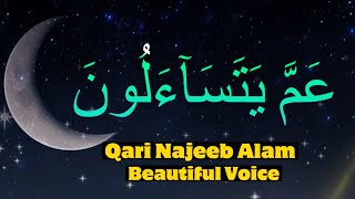 Quran tilawat|| Surah Naba by Qari Najeeb Alam|| #Quran|| Beautiful voice tilawat screenshot 3