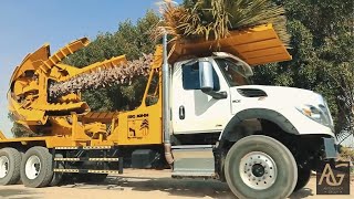 Tree Spade Services in Dubai