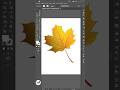 Adobe Illustrator 2025 - How to Apply Grainy Effect #vipulgraphics